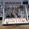 Dolphin Dock gallery