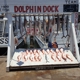 Dolphin Dock