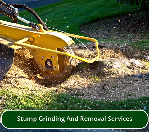 Woodstock Tree and Stump Removal - Coldstream, VIC. Stump Grinding And Removal Services