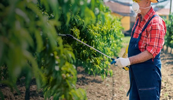 Ballarat Pest Control - Mount Pleasant, VIC