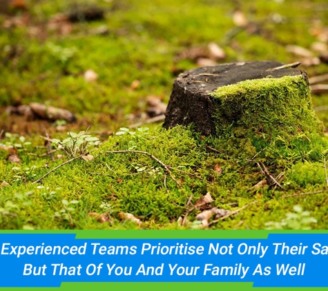 Affordable Stump Grinding - Elanora, QLD. Our Experienced Teams Prioritise Not Only Their Safety But That Of You And Your Family As Well