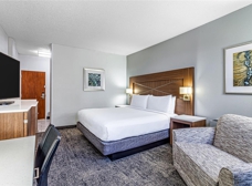 Gallery Image Number 7