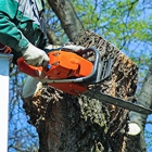 Tree Care Pros