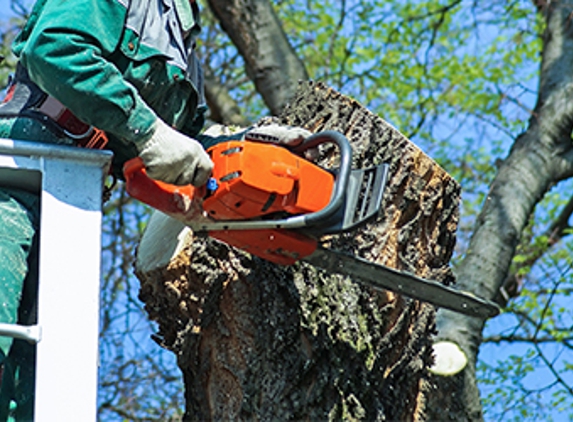 Tree Care Pros - Fort Worth, TX