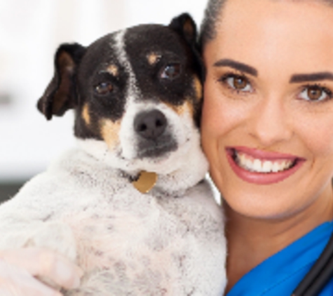 Southern Hills Veterinary Hospital - Edmond, OK