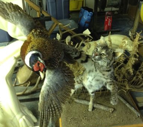 Brownsburg Taxidermy - Brownsburg, IN