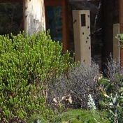 Gallery Image Number 6