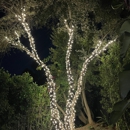 Elegant Outdoor Lights - Landscape Designers & Consultants