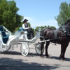 Box Elder Horse & Carriage gallery