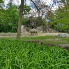 Brookfield Zoo