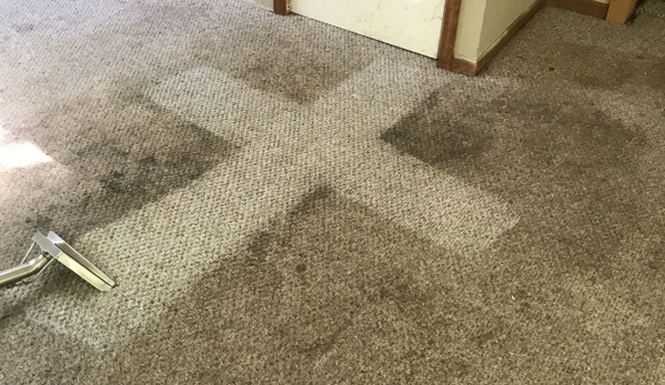 Fenton Carpet Cleaning - Fenton, MI