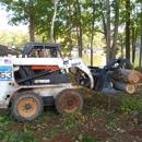 Climbing Carolina Tree Service - Gardeners