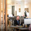 Alis Consulting Service - Business Coaches & Consultants