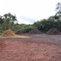 Debary Mulch