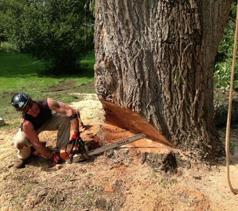 Quinlan Tree Service - Milford, MI