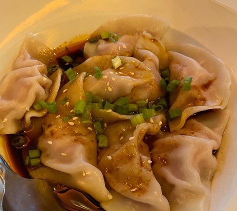 Trendy Dumpling - Houston, TX