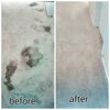Economy Carpet Cleaning gallery