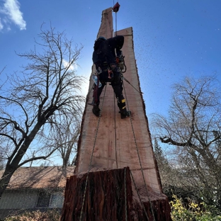 August Hunicke Arborists Inc.