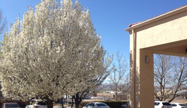 Courtyard by Marriott - Albuquerque, NM