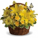 Blake Florists and Decorators - Florists