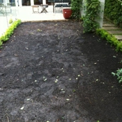 Gallery Image Number 4
