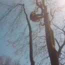 C & R Tree Service