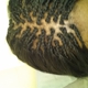 D K & Amy African Hair Brading