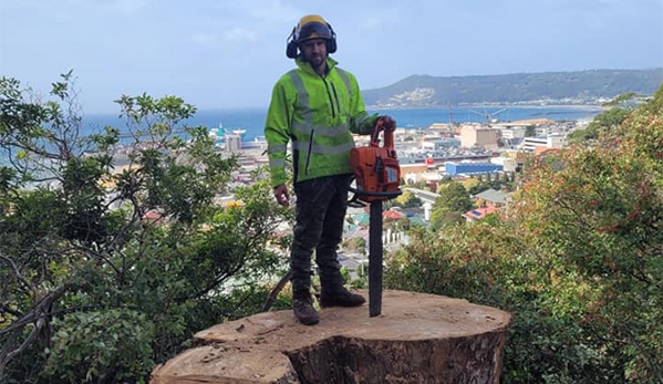 E&T Tree Services And Stump Grinding - Penguin, TAS