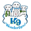 K9 Wonderland gallery