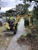 Diggers R Us - Excavation & Earthmoving Contractors