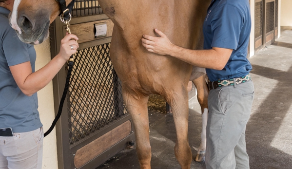 Palm Beach Equine Clinic - Wellington, FL