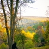 Medix Run Lodges and Cabins gallery