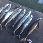 Galveston Yacht Basin