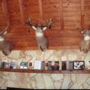 Matthew Renaud Taxidermist - Taxidermists