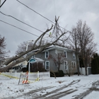 C&R's Out On A Limb Tree Care