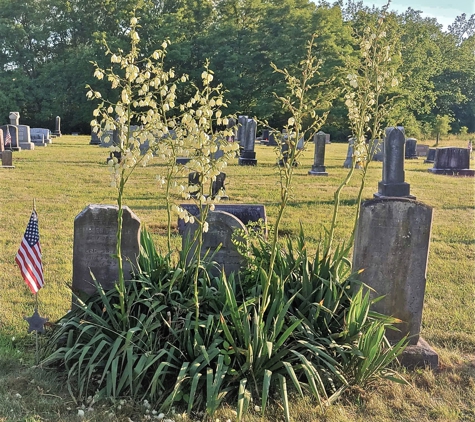 Two Taverns Cemetery - Gettysburg, PA. Yucca Plants on Trostle Family Lot