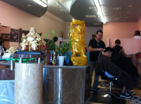 Star Salon - Grand Prairie, TX