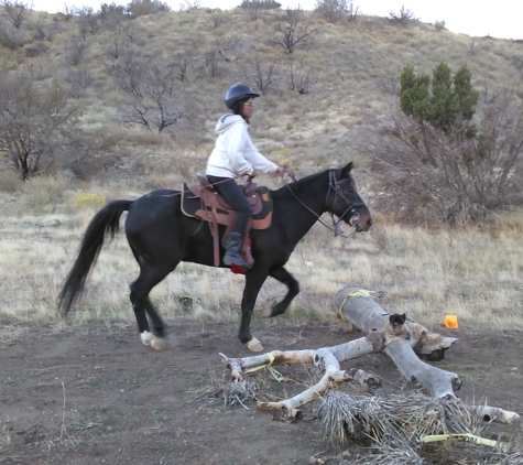 Lazy T Ranch - Leona Valley, CA