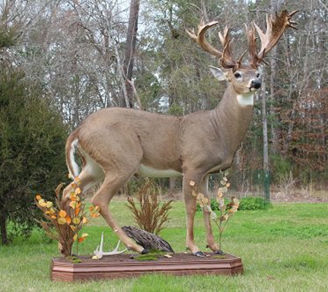 Wildlife Reflections Taxidermy - French Settlement, LA