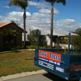Travs Trees