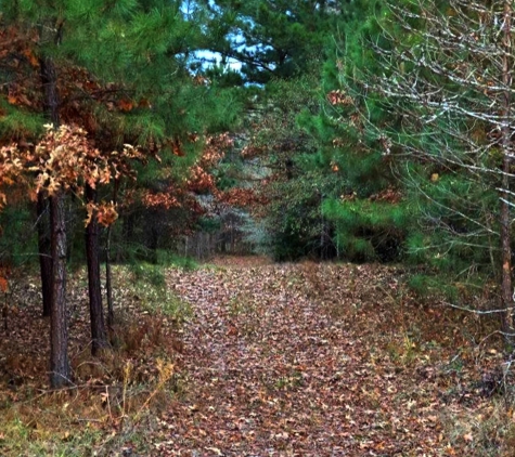 Tempe Creek Ranch - Livingston, TX