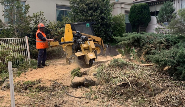 Harringtons Tree Services - Mount Evelyn, VIC