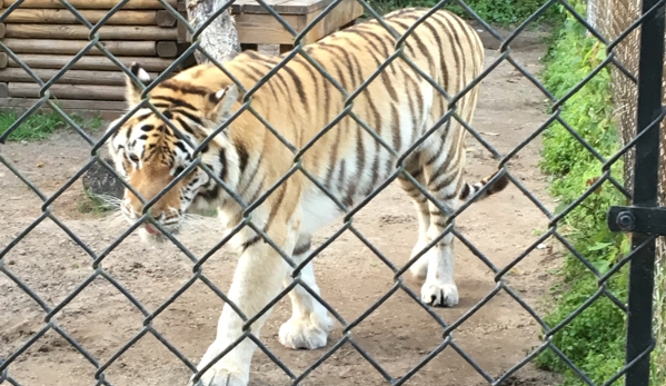 Catty Shack Ranch Wildlife Sanctuary - Jacksonville, FL