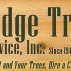 Dodge Tree Service