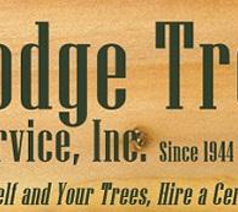 Dodge Tree Service - South Hamilton, MA
