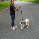 patty's pet sitting  services - Pet Sitting & Exercising Services