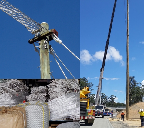 Gosling Electrical - North Boambee Valley, NSW. Gosling Electrical Fauna Poles Design and Installation