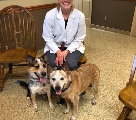 Alex-Bell Veterinary Clinic - Dayton, OH