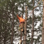 Brian's Tree Service & Bobcat Service