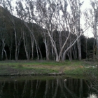 Peter Strauss Ranch